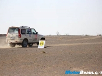 thumbs Scorpio Desert Storm (10) photo